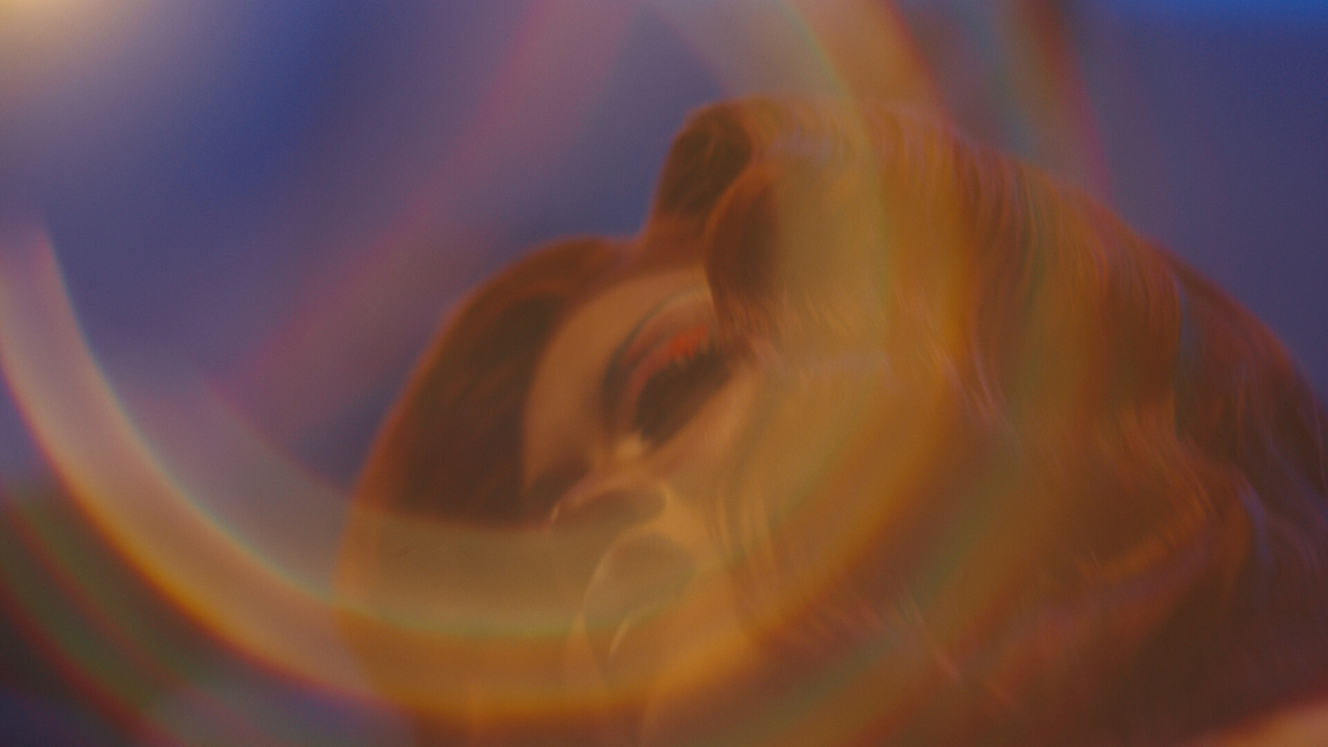 After What Happened at the Library - video still