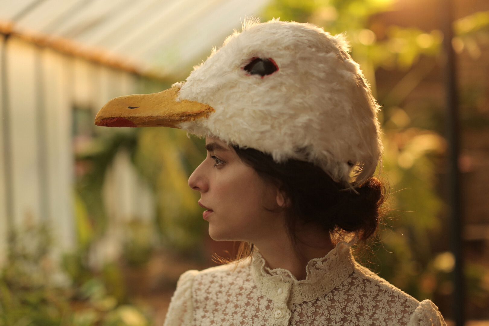 Death of a Seagull - video still