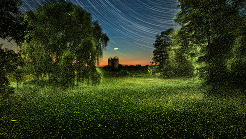 Into the Dark - video still