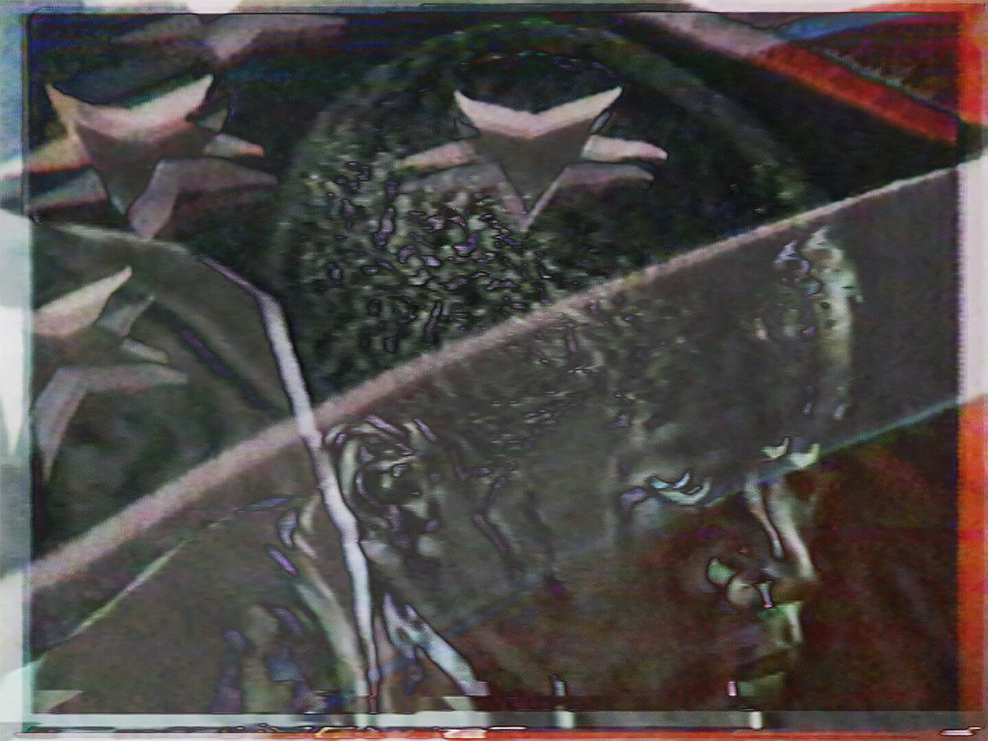 Remote Views - video still