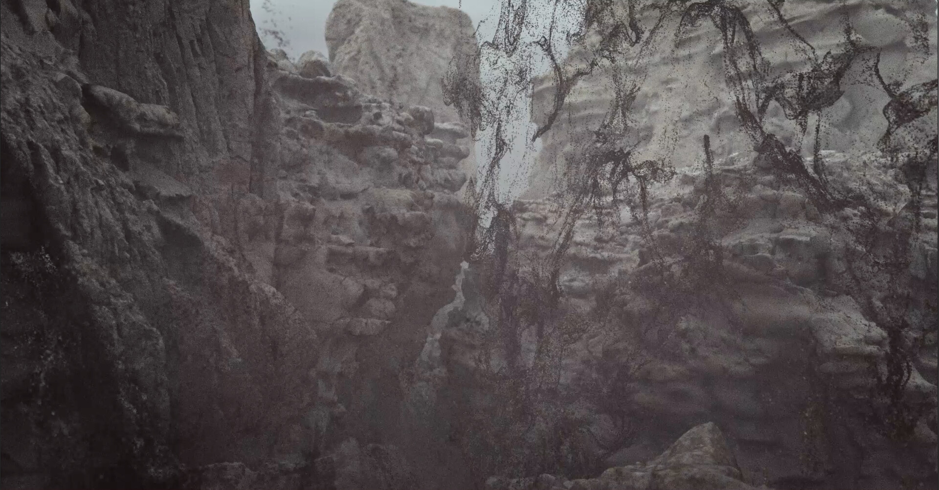 SABW - Elephant - video still