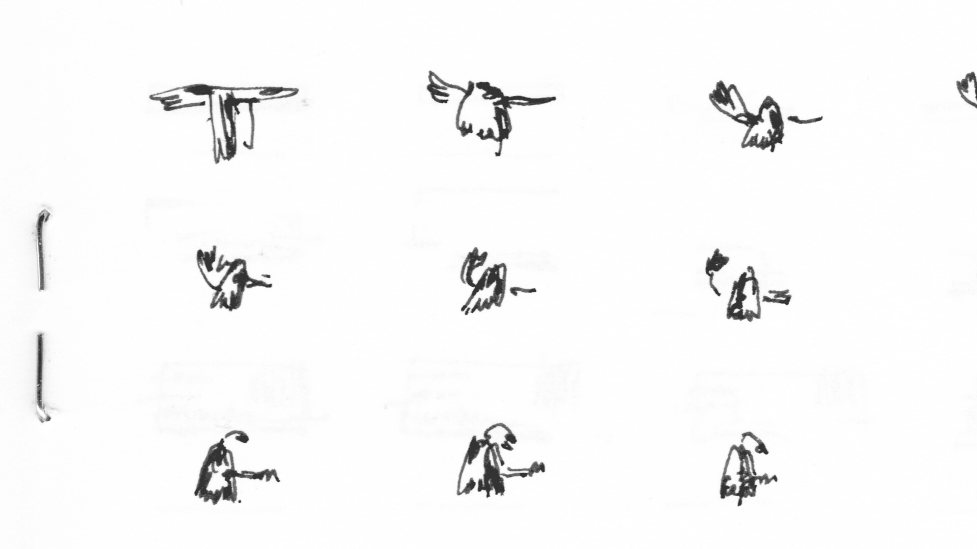 So Many Different Things - video still