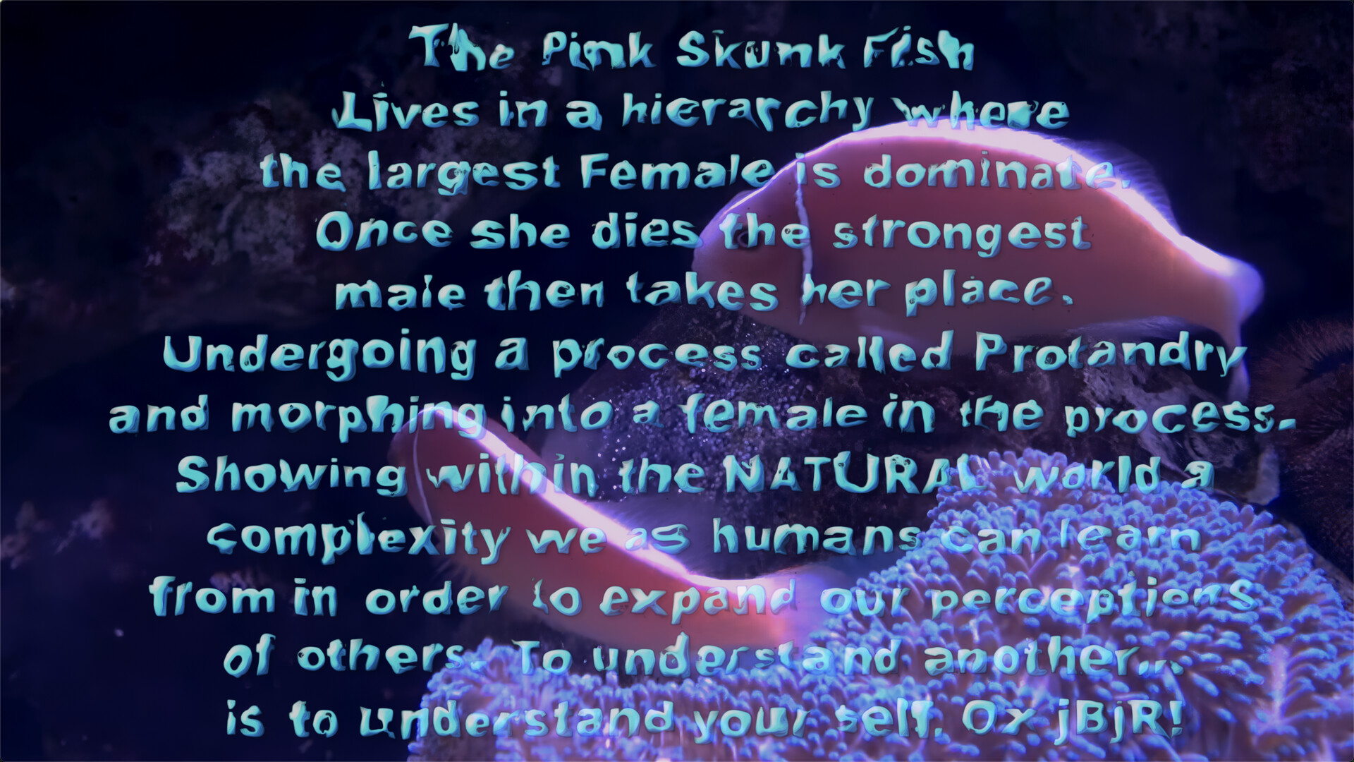 The Crown with a Shadow & The Search for Self! - video still