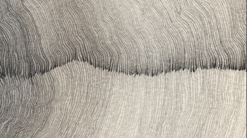 Track Trace - video still