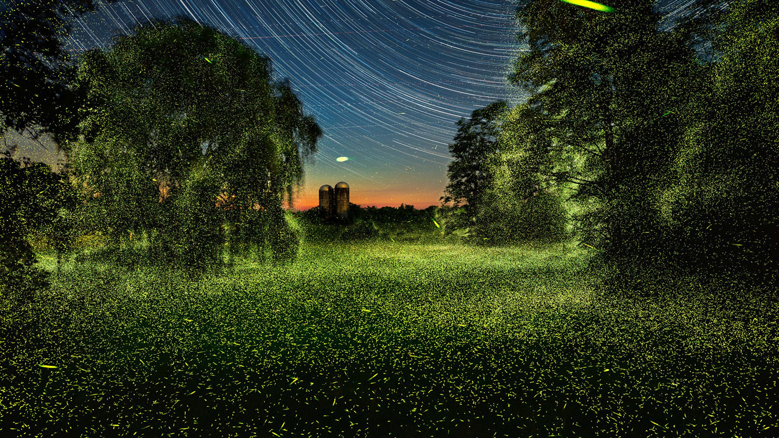 into the dark video still