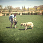 For the love of dogs