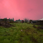 My Most Handsome Monster